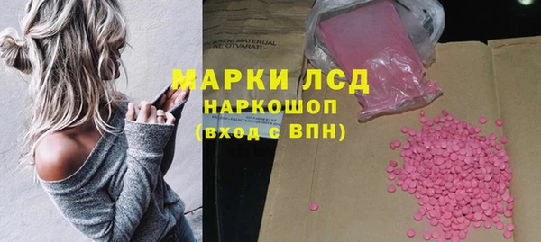 трава Аркадак