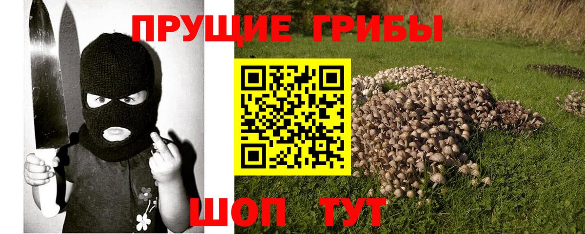 Джанкой  Псилоцибиновые грибы Cubensis  Вход с VPN  Псилоцибиновые грибы ЛСД 